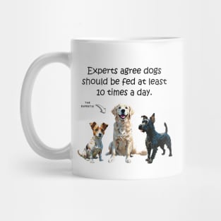 Experts agree dogs should be fed at least 10 times a day - funny watercolour dog design Mug